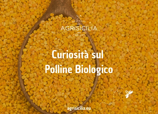 Curiosità Sul Polline Biologico 537 × 390 Px Copia