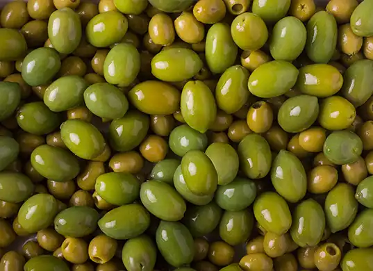 Oliven Auf Sizilien Im November: Ernte, Produktion Neuer Öle Und Sorten